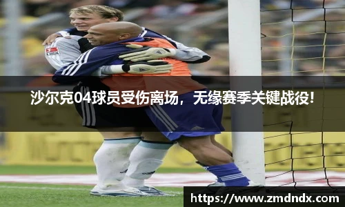 沙尔克04球员受伤离场，无缘赛季关键战役!