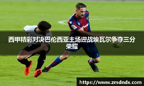 沙巴体育