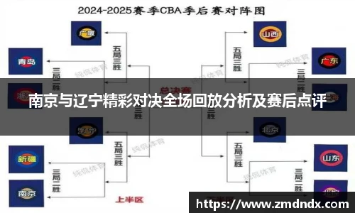 南京与辽宁精彩对决全场回放分析及赛后点评