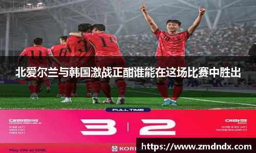 北爱尔兰与韩国激战正酣谁能在这场比赛中胜出