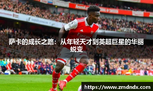 冰球突破豪华版